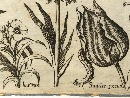 A 35 etching collection , bound, several authors, early 17th century. - Picture 06