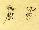 Sketch study, India ink on paper by Attilio Simonetti (Roma 1843- 1925). - Picture 03