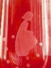 A chrystal Orrefors etched vase by Asta Elvira Strmberg for Orrefors, Sweden, 1949. - Picture 02